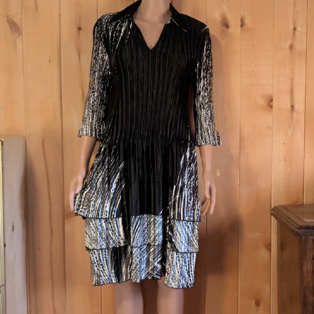 Magic Black and White Pleated Dress